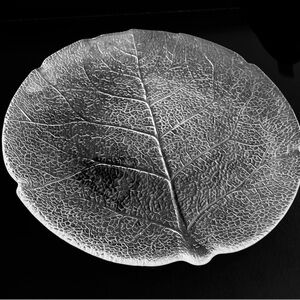 Set of 6 Vintage 1980s Arcoroc France Aspen line leaf-shaped plates